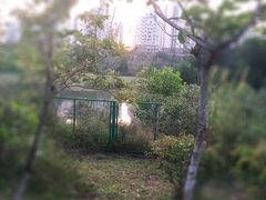 -聚龙山公园