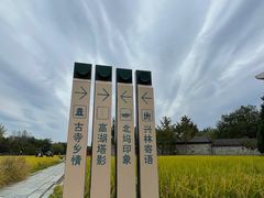 -北坞公园