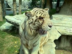 -北京野生动物园