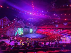 -珠海横琴长隆《卡卡虎奇遇记》