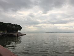 -宝安西湾红树林湿地公园