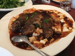 小黄鱼烧豆腐-老客站酒楼(金花南路店)
