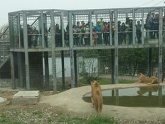 -西安秦岭野生动物园