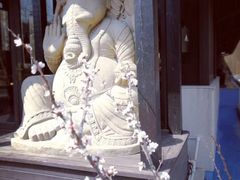 -Local泰莲庭(虹鳟鱼店)