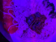 -贰麻酒馆(金山斗酒场店)