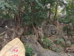 -星湖旅游景区七星岩