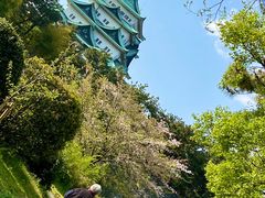 -名古屋城