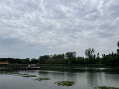 -溱湖国家湿地公园