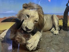 -国家自然博物馆