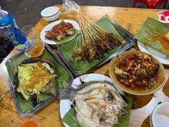 -杨合林啊兰烤鱼