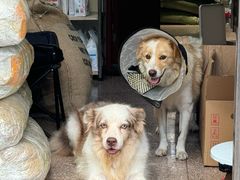 -豆舞咖啡(民乐路店)