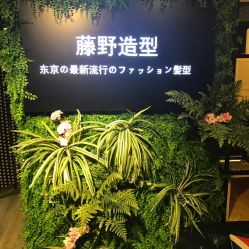 点击看大图 -藤野造型