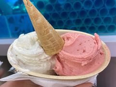 -极拉图·现制冰淇淋(大卫城店)