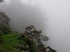 -峨眉山风景名胜区