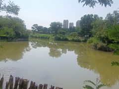 -塘沽森林公园