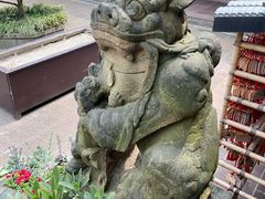 -峨眉山报国寺