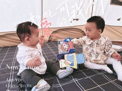-森林小栈TreeStation露营基地