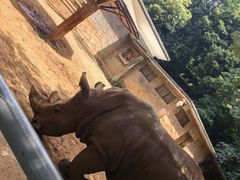 -昆明动物园