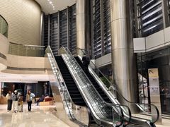 -谢冬律师团队·专注离婚案件·君澜律所