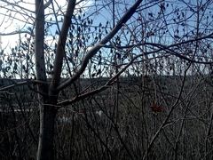 -新疆天山野生动物园