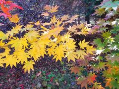 -长春市南湖公园