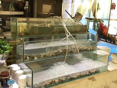 -339旋转餐厅(天府熊猫塔店)