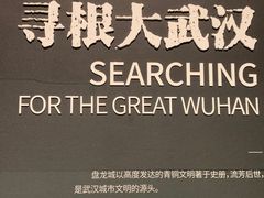 -盘龙城国家考古遗址公园