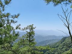 -王顺山国家森林公园