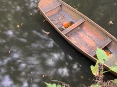 -广州兰圃