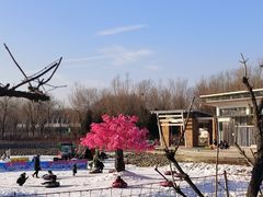 -大兴滨河森林公园