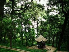 -七曲山风景区