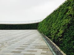 -南京眼步行桥