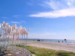 -江山半岛白浪滩景区