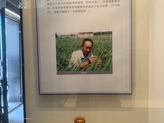 -荔湾博物馆