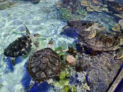 -福州罗源湾海洋世界旅游区
