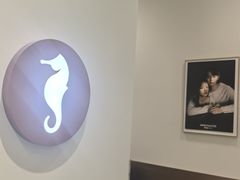 -海马体大师店(广州天汇广场IGC大师店)