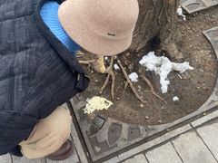 -绿茶餐厅(雁塔大悦城店)