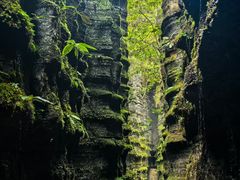 -梭布垭石林景区