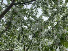 -元大都城垣遗址公园