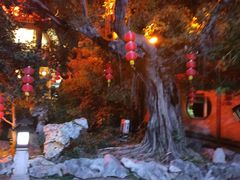 -东江渔村·古典园林·30年粤菜老字号(太和店)