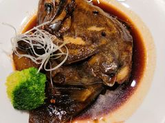 -红叶日料·放题·海胆·定食(星海店)