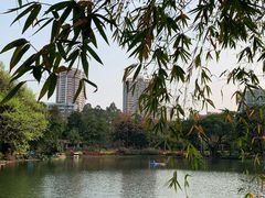 -晓港公园