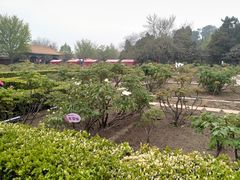 景点-景山公园