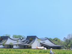 -中华恐龙园