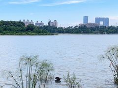 -海珠湖公园