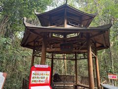 -霸王岭国家森林公园