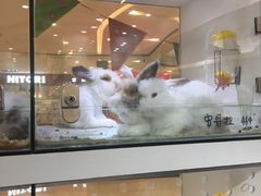 -凯德广场(西城店)