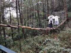 -梦幻奥陶纪景区