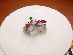 -觀芷隐轩