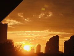 -合肥滨湖国家森林公园